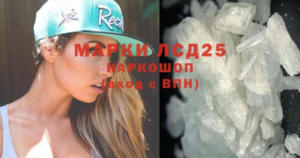 твердый Бородино