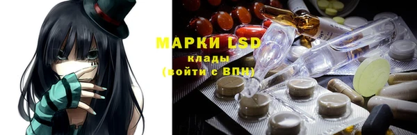 mdpv Богородск