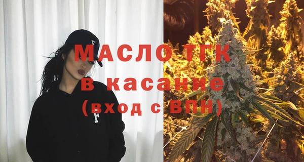 твердый Бородино
