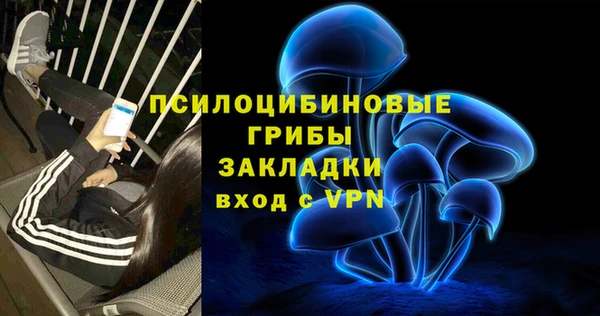 первитин Богданович