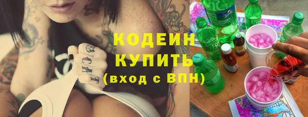 твердый Бородино