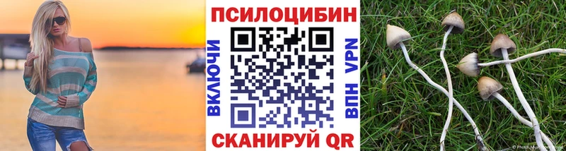 Галлюциногенные грибы Cubensis  наркота  Демидов 